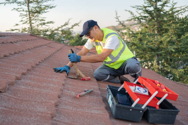Best New Roof Installation  in Lyndon, KS