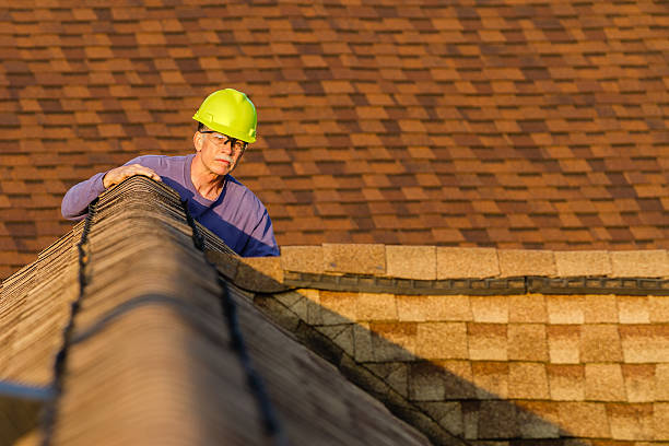 Best Roof Leak Repair  in Lyndon, KS